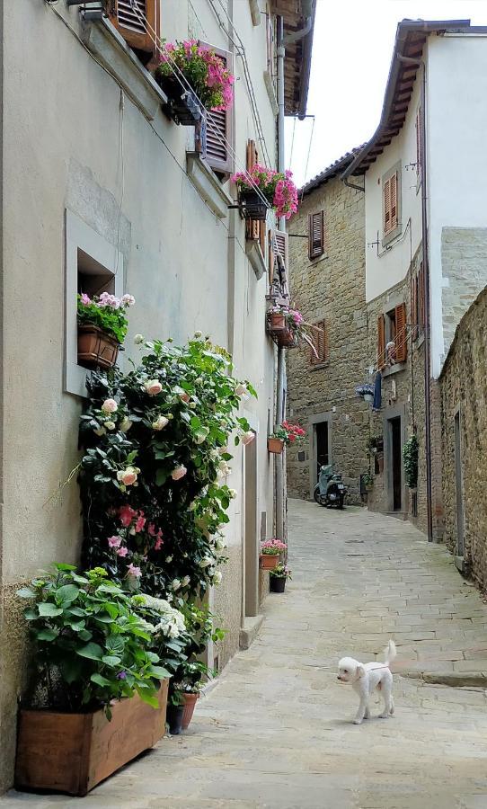Casa Agata, Accogliente Appartamento Nel Centro Storico コルトーナ エクステリア 写真